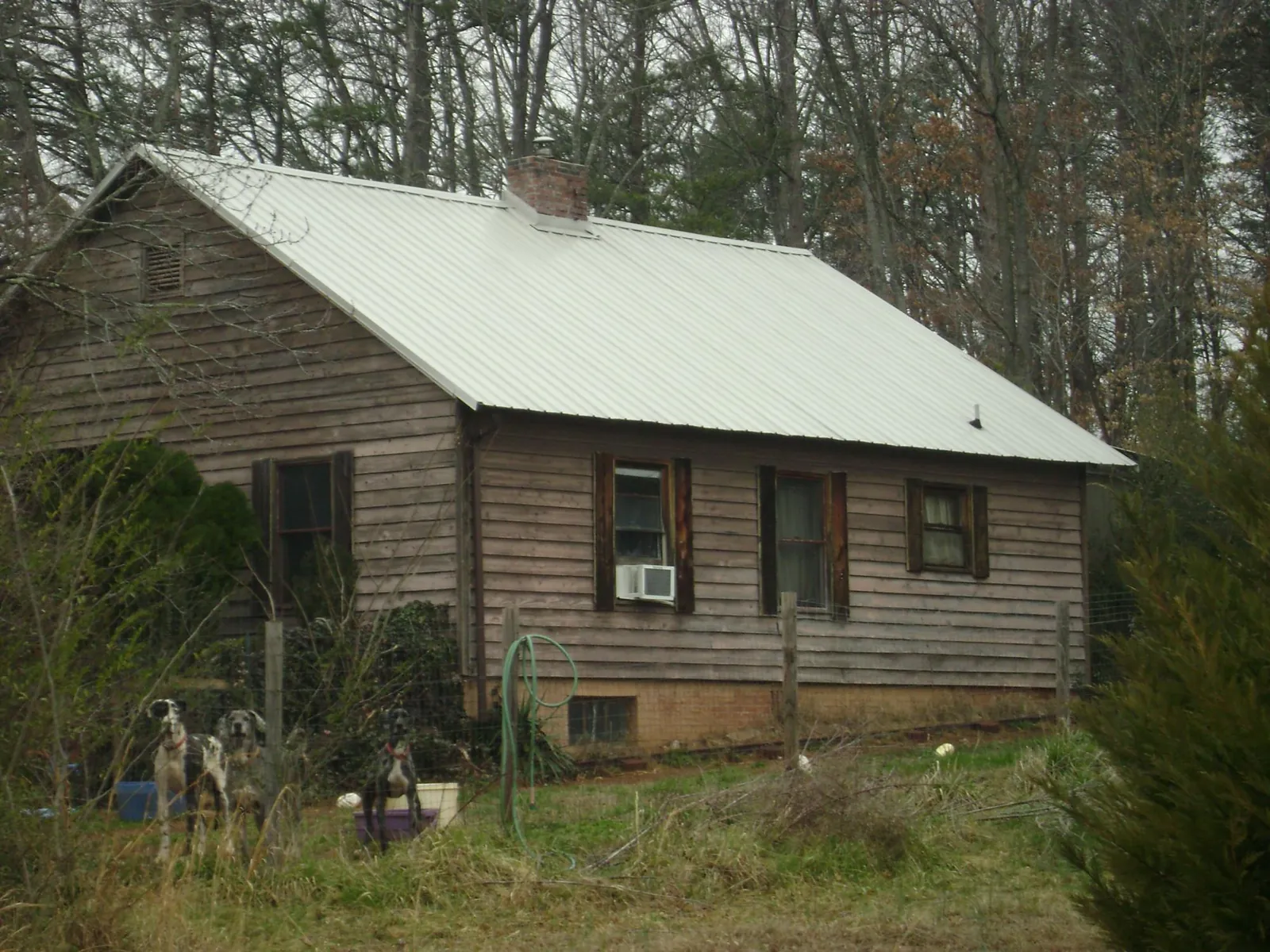 White metal roof on an old wood sided farmhouse, from a Asphalt Shingle Roof Repair job in Oaks
